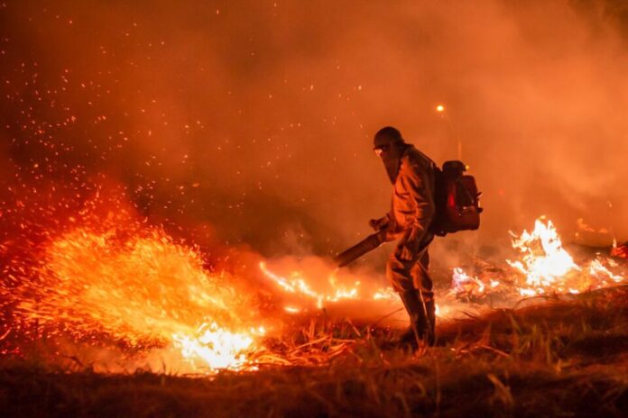 Goiás combate incêndios