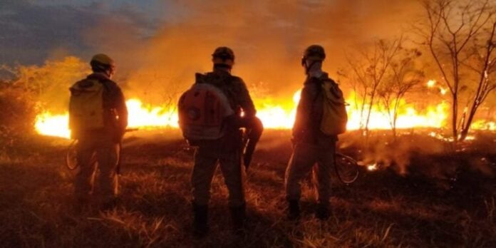 Goiás combate incêndio